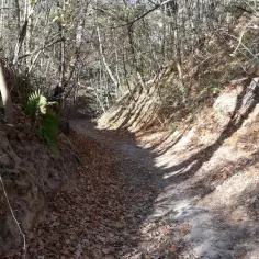 Trasy motocyklowe enduro w Lublinie: odkryj najlepsze szlaki i ich tajemnice