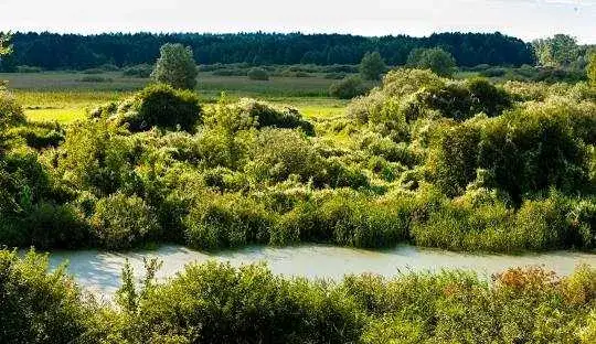 Zdjęcie Trasy motocyklowe Podlasie - odkryj ukryte skarby regionu